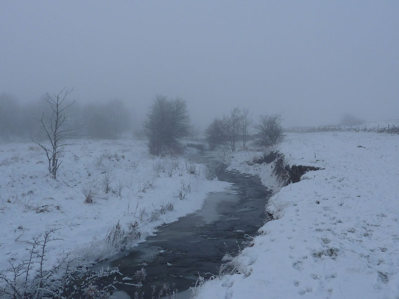 Misty River